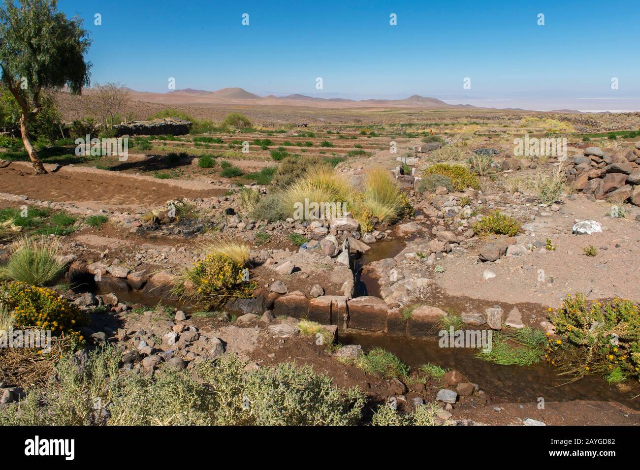 Canali di irrigazione per campi terrazzati nel villaggio di Socaire vicino a San Pedro de Atacama nel deserto di Atacama, nel Cile settentrionale. Foto Stock