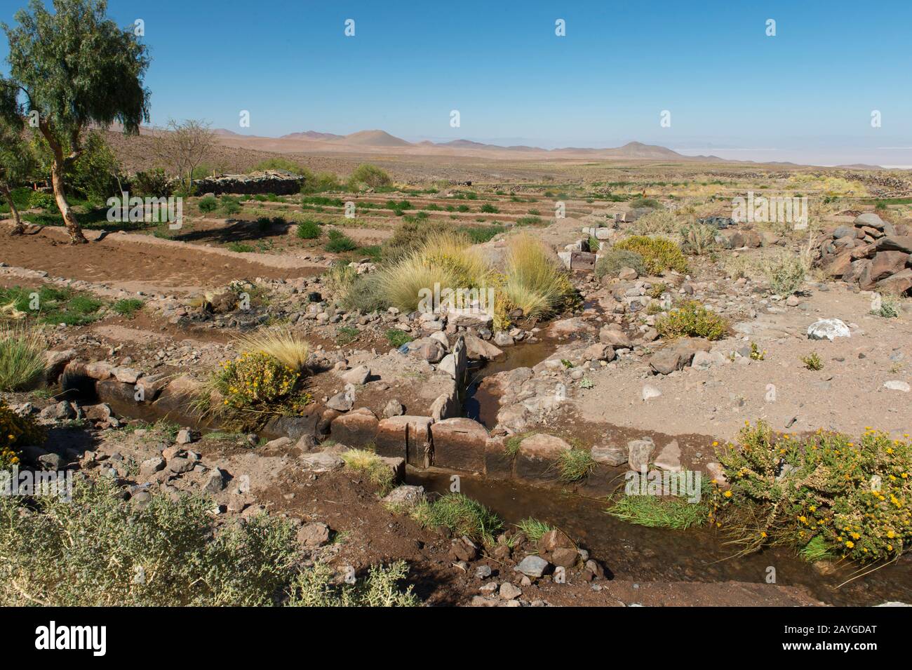 Canali di irrigazione per campi terrazzati nel villaggio di Socaire vicino a San Pedro de Atacama nel deserto di Atacama, nel Cile settentrionale. Foto Stock