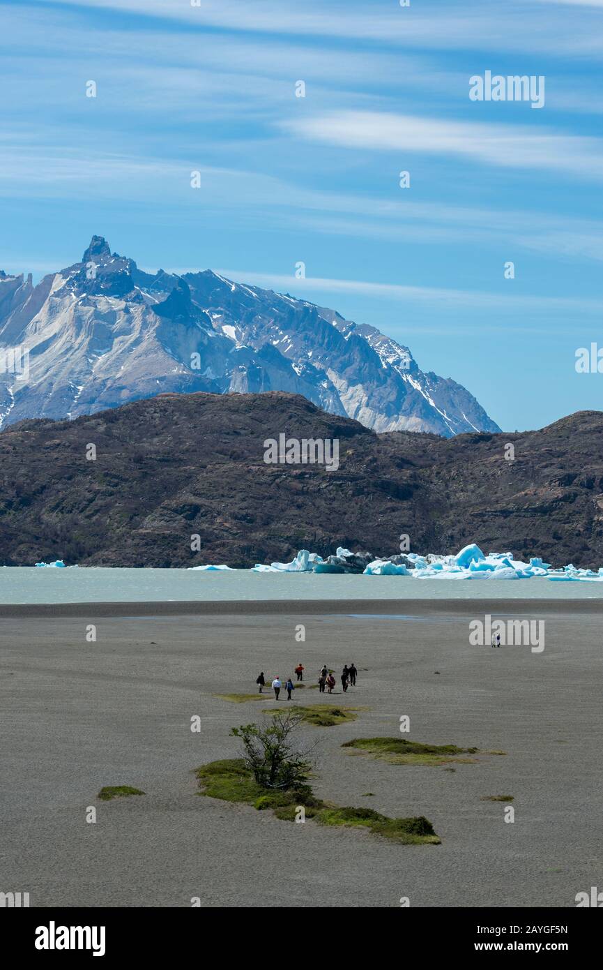 Turisti in spiaggia al Lago Grey con iceberg galleggianti dal Ghiacciaio grigio nel Parco Nazionale Torres del Paine in Patagonia, Cile. Foto Stock