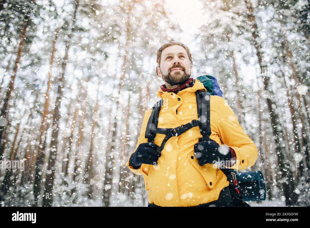 Vista a basso angolo di entusiasta bel escursionista stimando il suo ulteriore percorso attraverso la foresta invernale Foto Stock