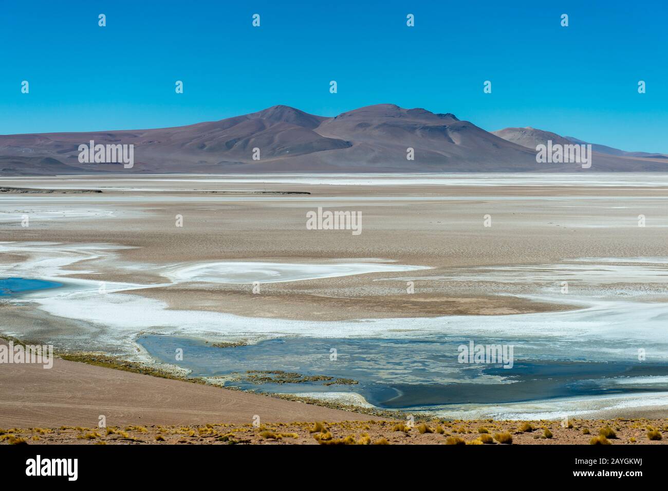 Paesaggio arido con una laguna di sale al confine argentino/cileno al Passo Jama nelle Ande, in Cile. Foto Stock