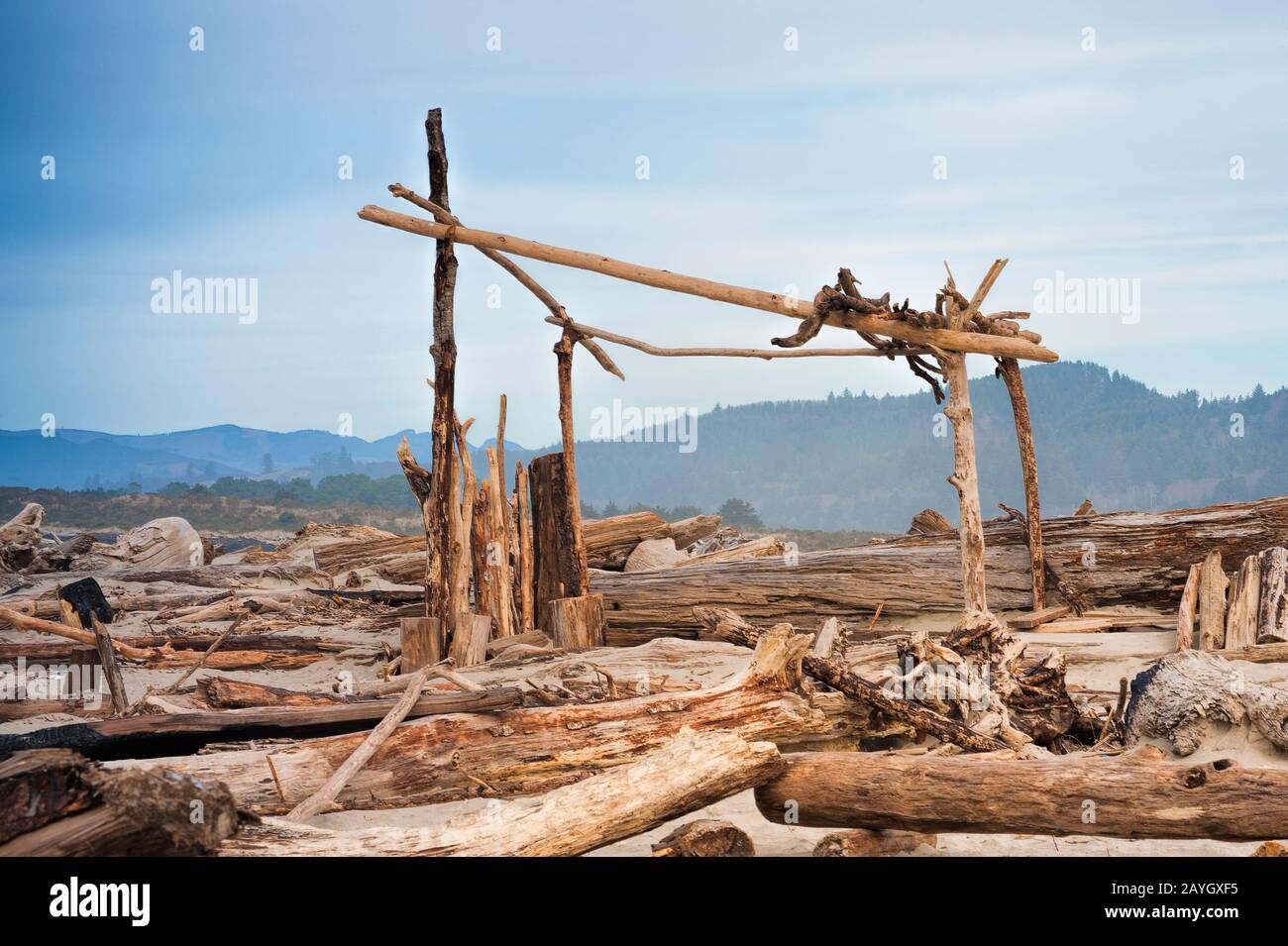 Driftwood quasi copre questa spiaggia a Nehalem Bay dove la gente ama venire e costruire strutture dal legno che litterano la spiaggia sulla costa dell'Oregon Foto Stock