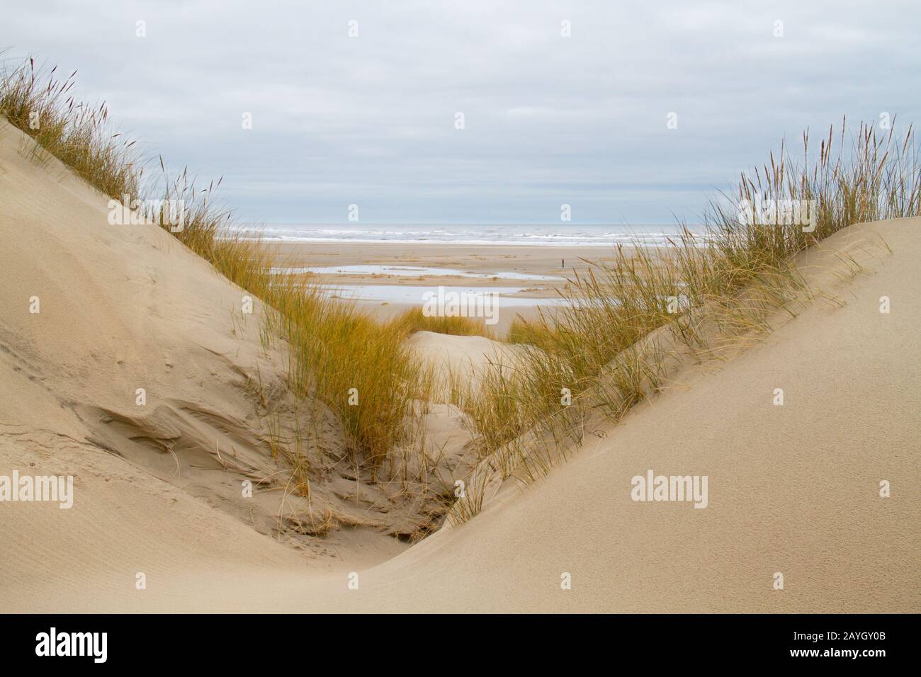 Vista sulla spiaggia e sul mare del Nord tra due dune Foto Stock Vista sulla spiaggia e sul mare del Nord tra due dune Foto Stock