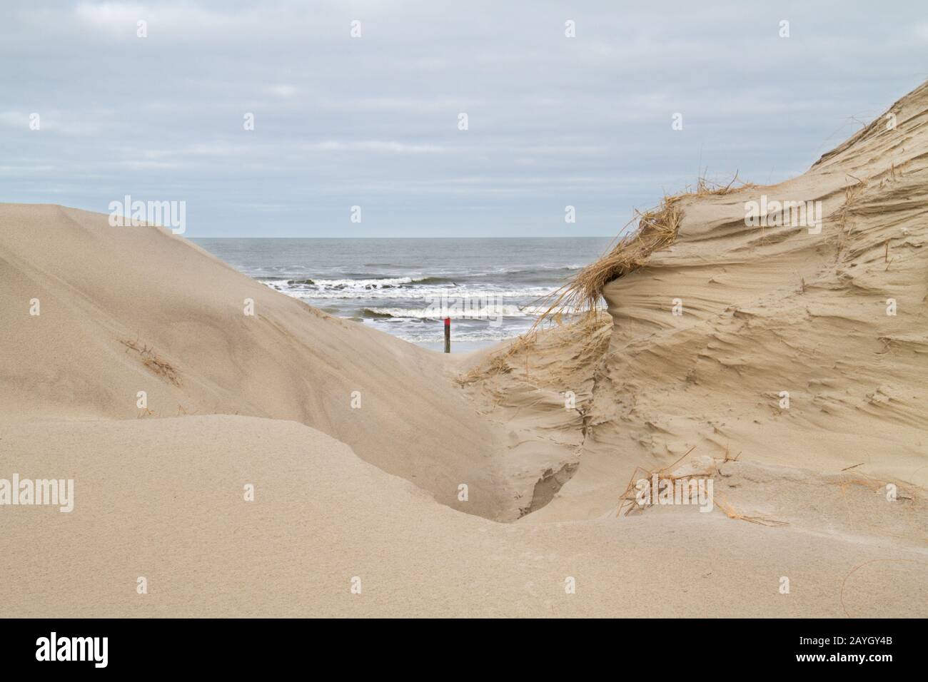 Vista sulla spiaggia con un palo da spiaggia e il mare del Nord tra due dune Foto Stock Vista sulla spiaggia con un palo da spiaggia e il mare del Nord tra due dune Foto Stock