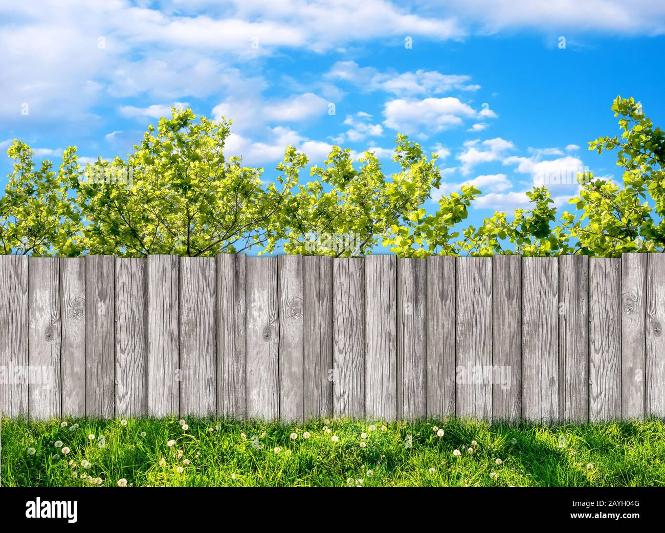 Giardino in legno recinzione al cortile interno e il cielo blu con nuvole bianche Foto Stock