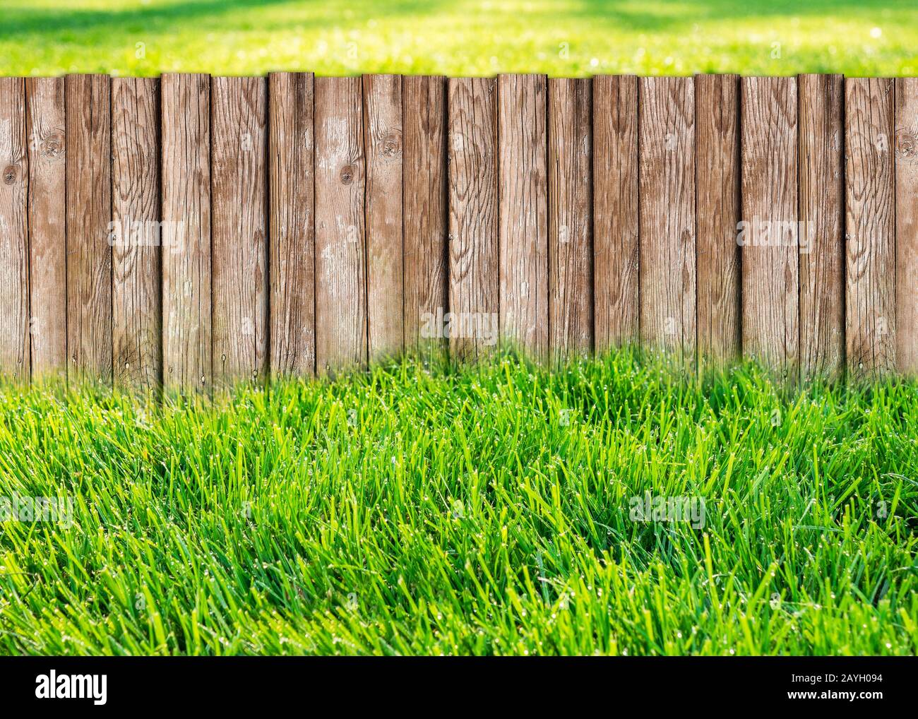 Giardino in legno recinzione al cortile interno con erba verde Foto Stock