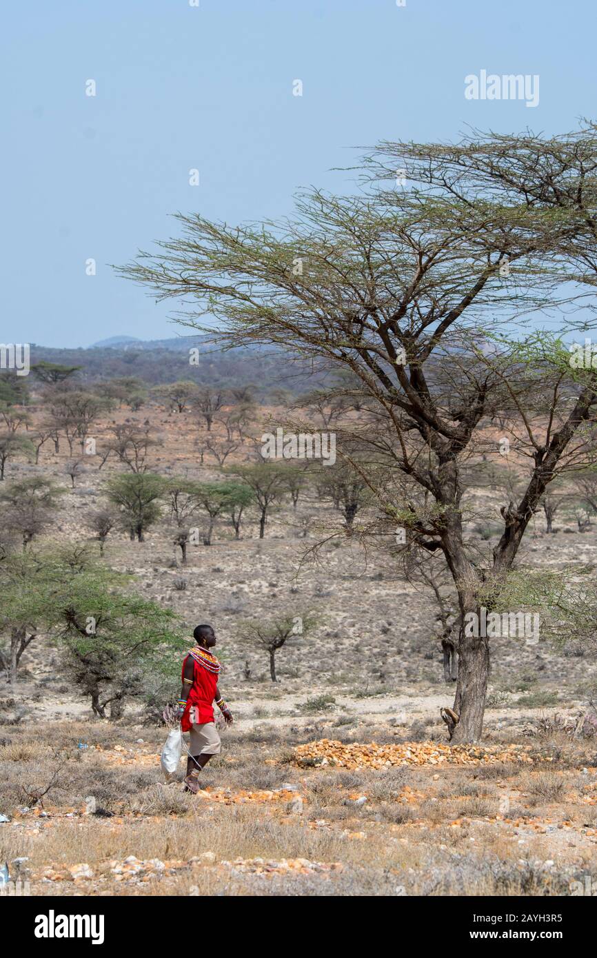 Una donna di Samburu sta camminando verso un villaggio di Samburu vicino Alla Riserva nazionale di Samburu in Kenia. Foto Stock