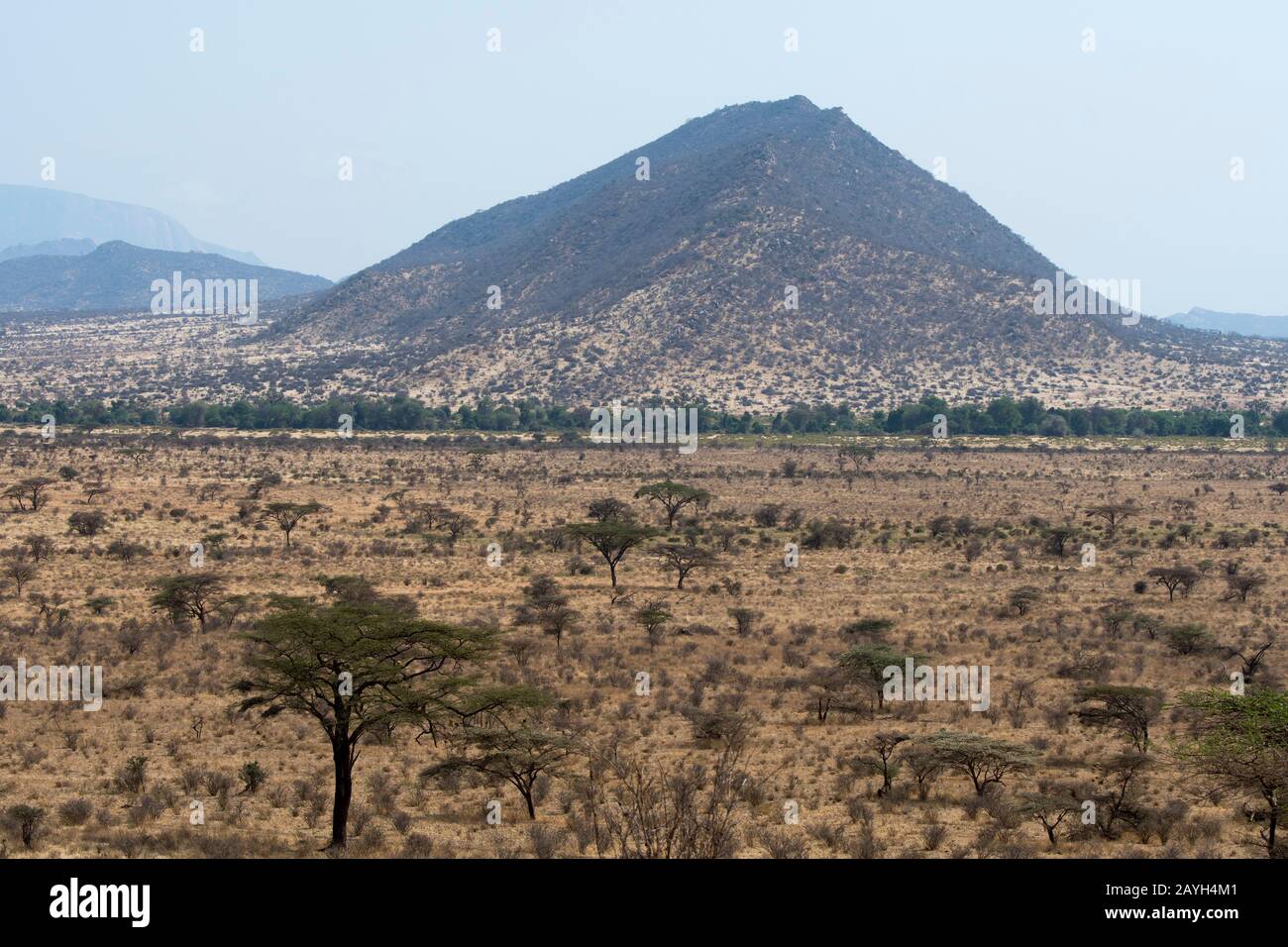 Vista del paesaggio secco della savana nella Riserva nazionale di Samburu in Kenya. Foto Stock