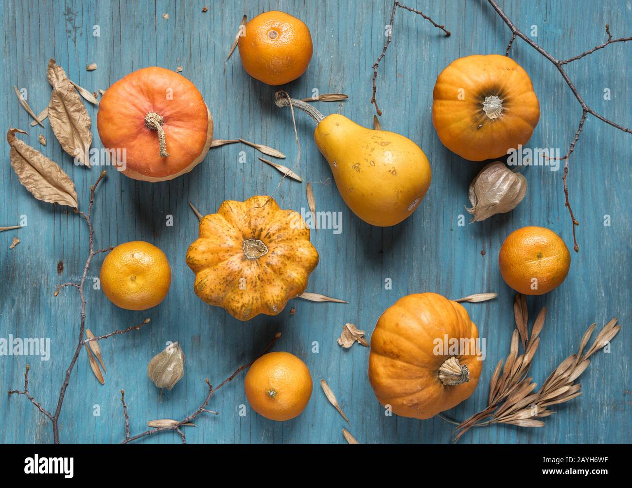 Zucche decorative, zucca e mandarino sullo sfondo di legno blu scuro Foto Stock