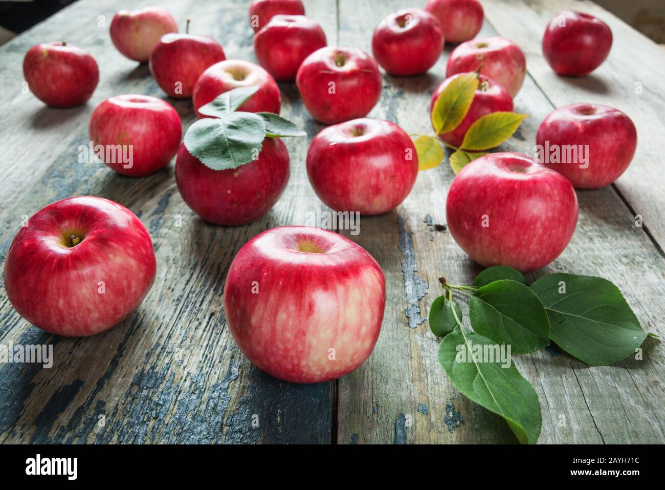 Molte mele rosse con foglie verdi si trovano sul vecchio tavolo di legno Foto Stock