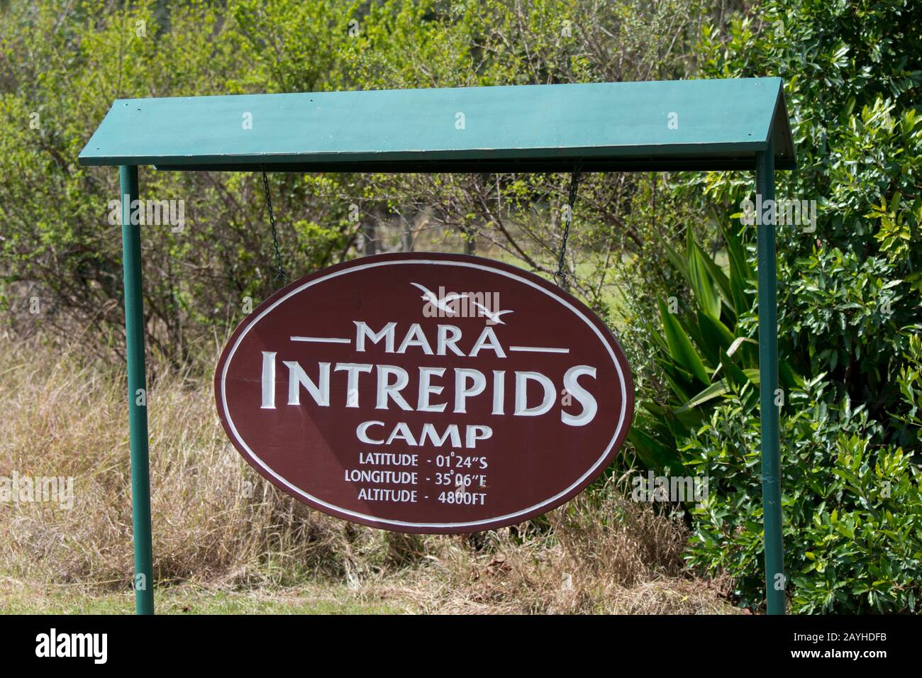 Segno del campo di Intrepidi nella Riserva nazionale di Masai Mara in Kenia. Foto Stock