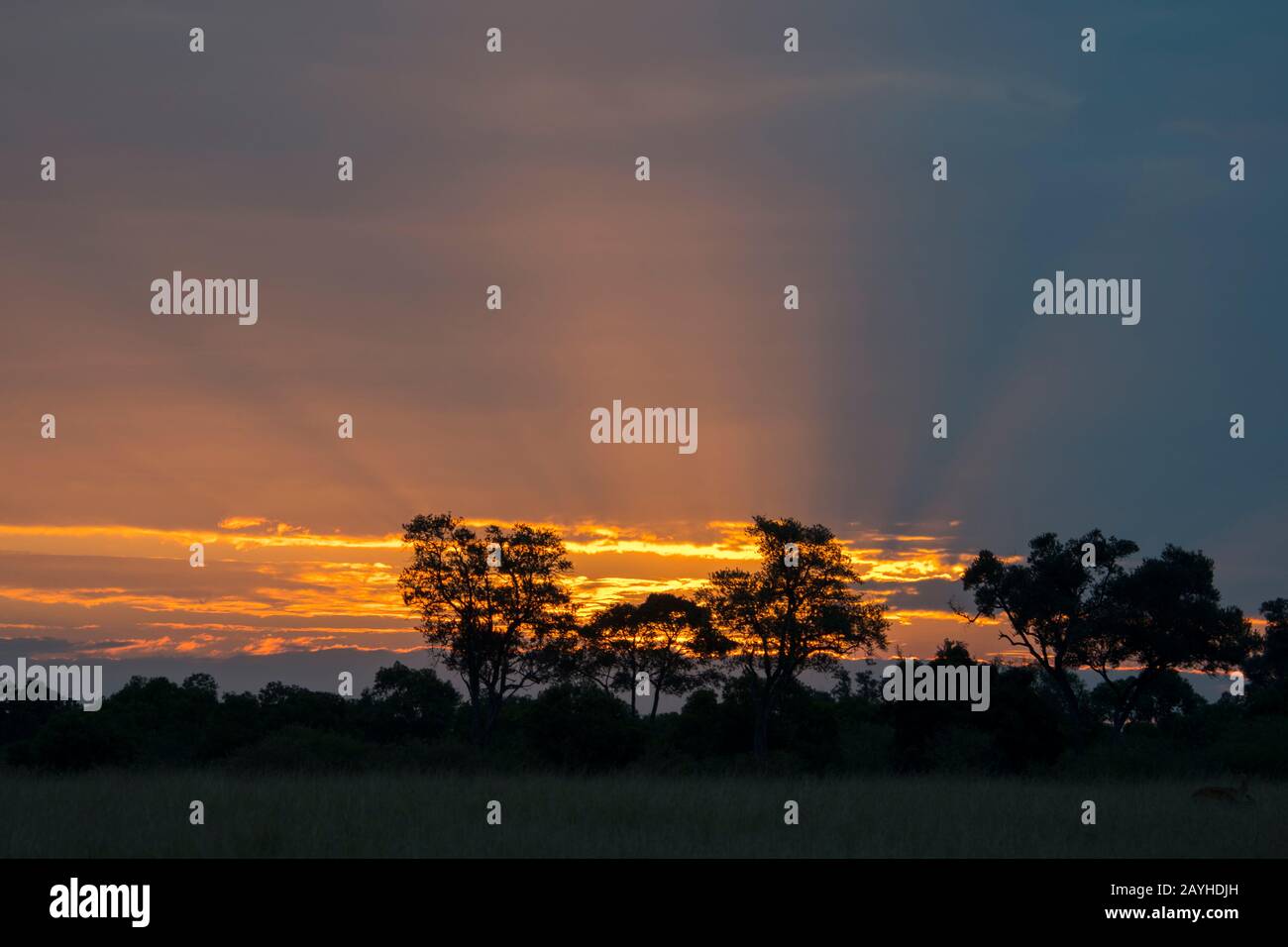 Alba con nuvole buie tempesta sopra la Riserva Nazionale Masai Mara in Kenya. Foto Stock