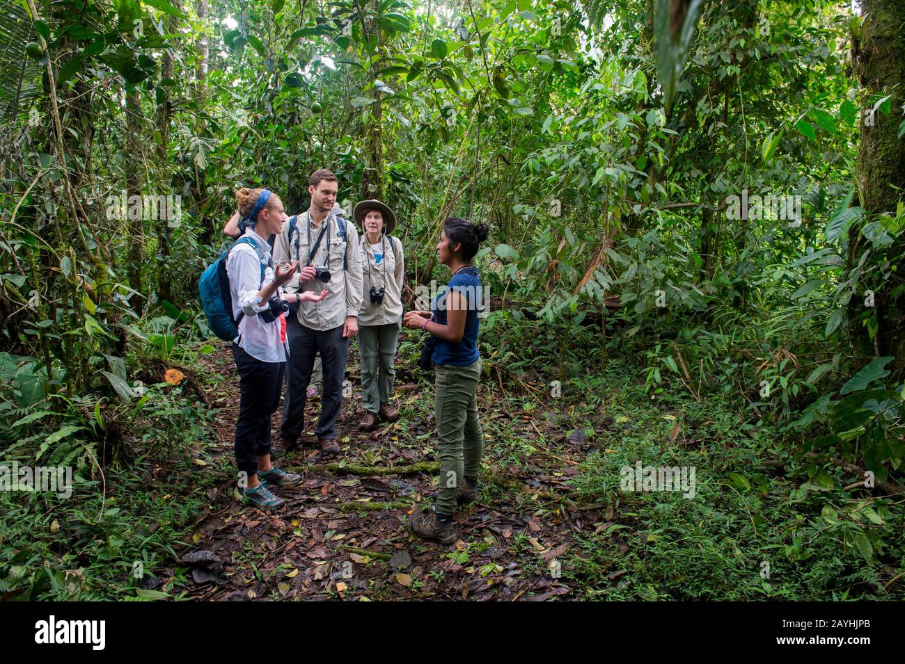 Una guida con turisti che camminano su un sentiero nelle foreste nubi di Mindo, vicino Quito, Ecuador. Foto Stock