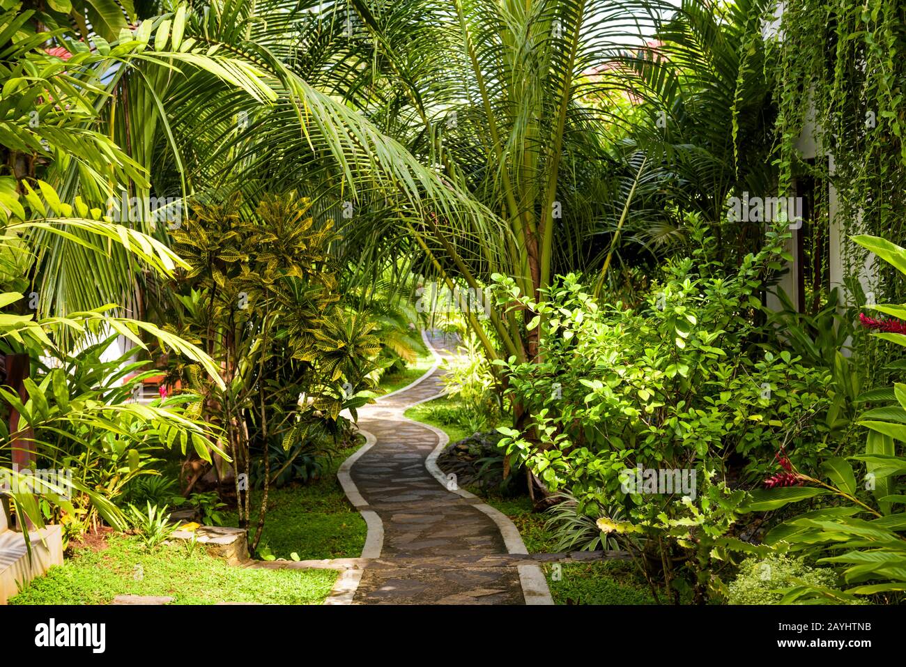 Paesaggio naturale con il percorso in pietra in un giardino o hotel Foto Stock