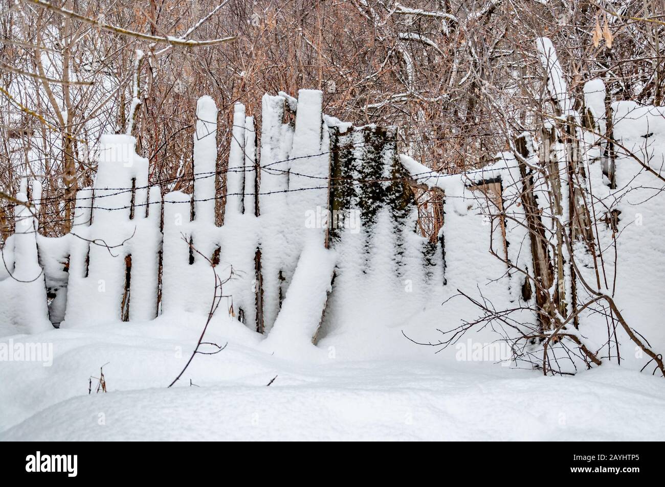 Vecchia recinzione in legno ricoperta di neve fatta di tavole di diverse altezze con filo spinato. Dietro la recinzione c'è una gola innevata con la parte anteriore Foto Stock