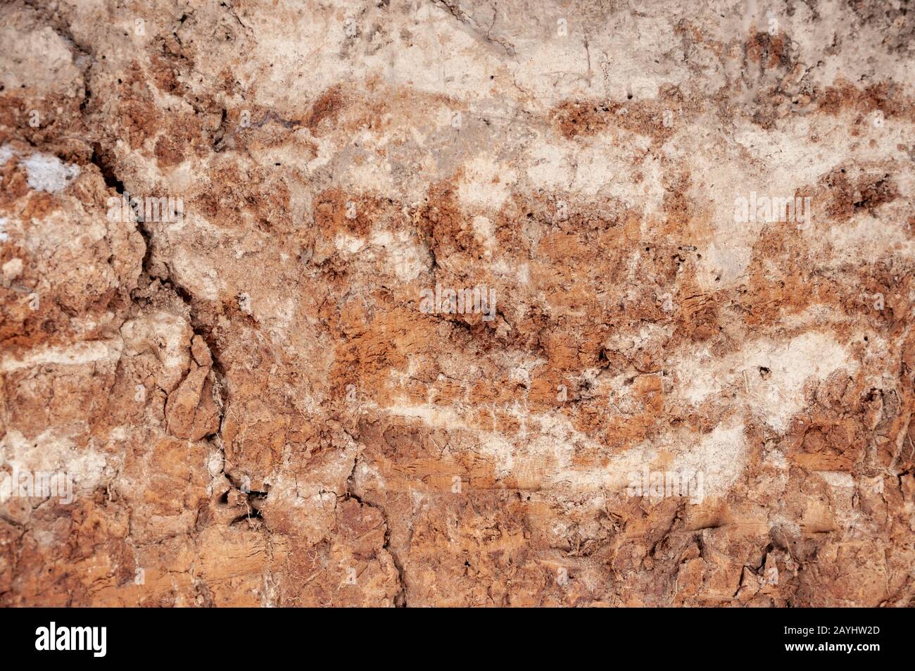 Primo piano della struttura dello strato di suolo nella sezione. Terra di tipo-argilla e di loam. Foto Stock