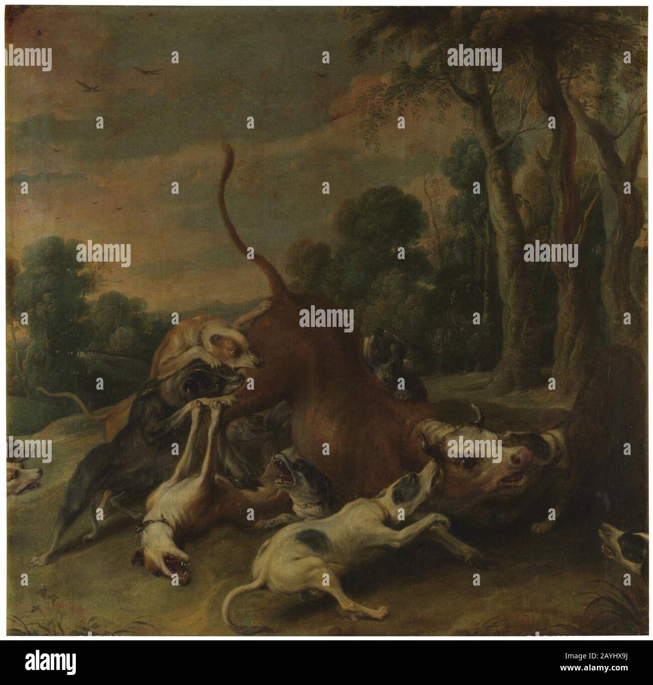 Frans Snyders - un toro sovraalimentato da cani. Foto Stock