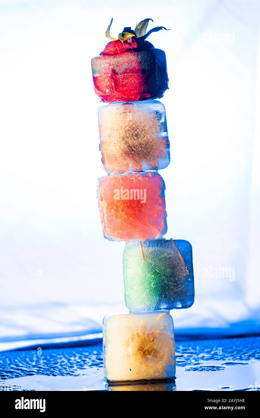 Composizione astratta con cubetti di ghiaccio colorati sovrapposti in tonalità vivaci su sfondo bianco Foto Stock