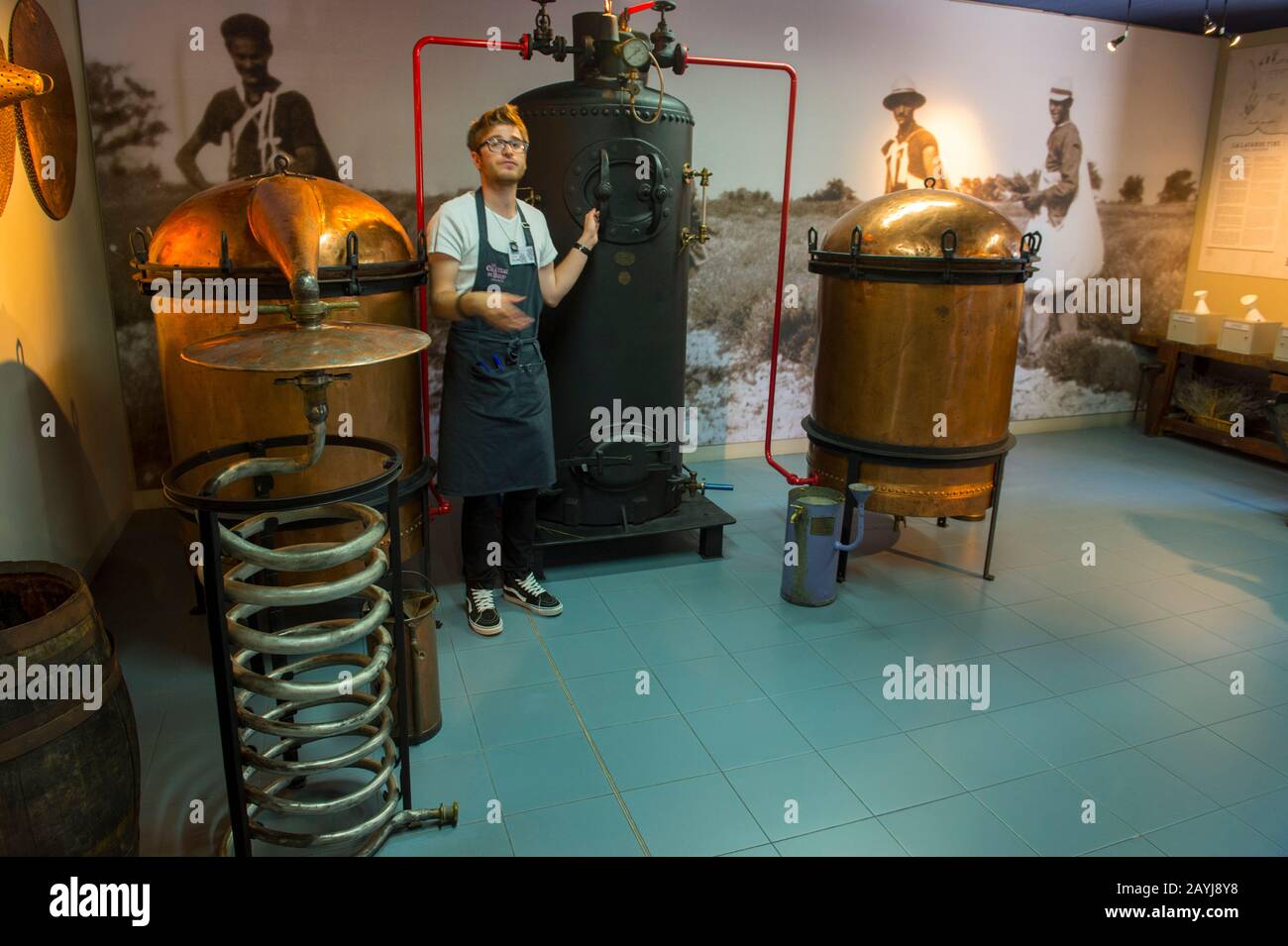 Una guida spiega il processo di produzione dell'olio essenziale o dell'essenza di lavanda al le Chateau du Bois Lavender Museum vicino a Gorde Foto Stock
