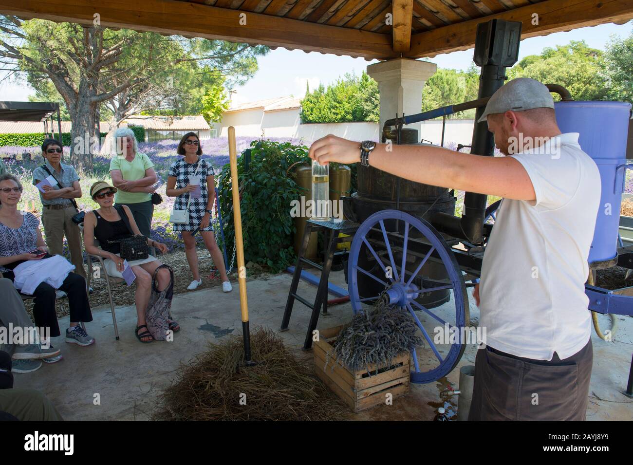 Una guida spiega il processo di produzione dell'olio essenziale o dell'essenza di lavanda al le Chateau du Bois Lavender Museum vicino a Gorde Foto Stock