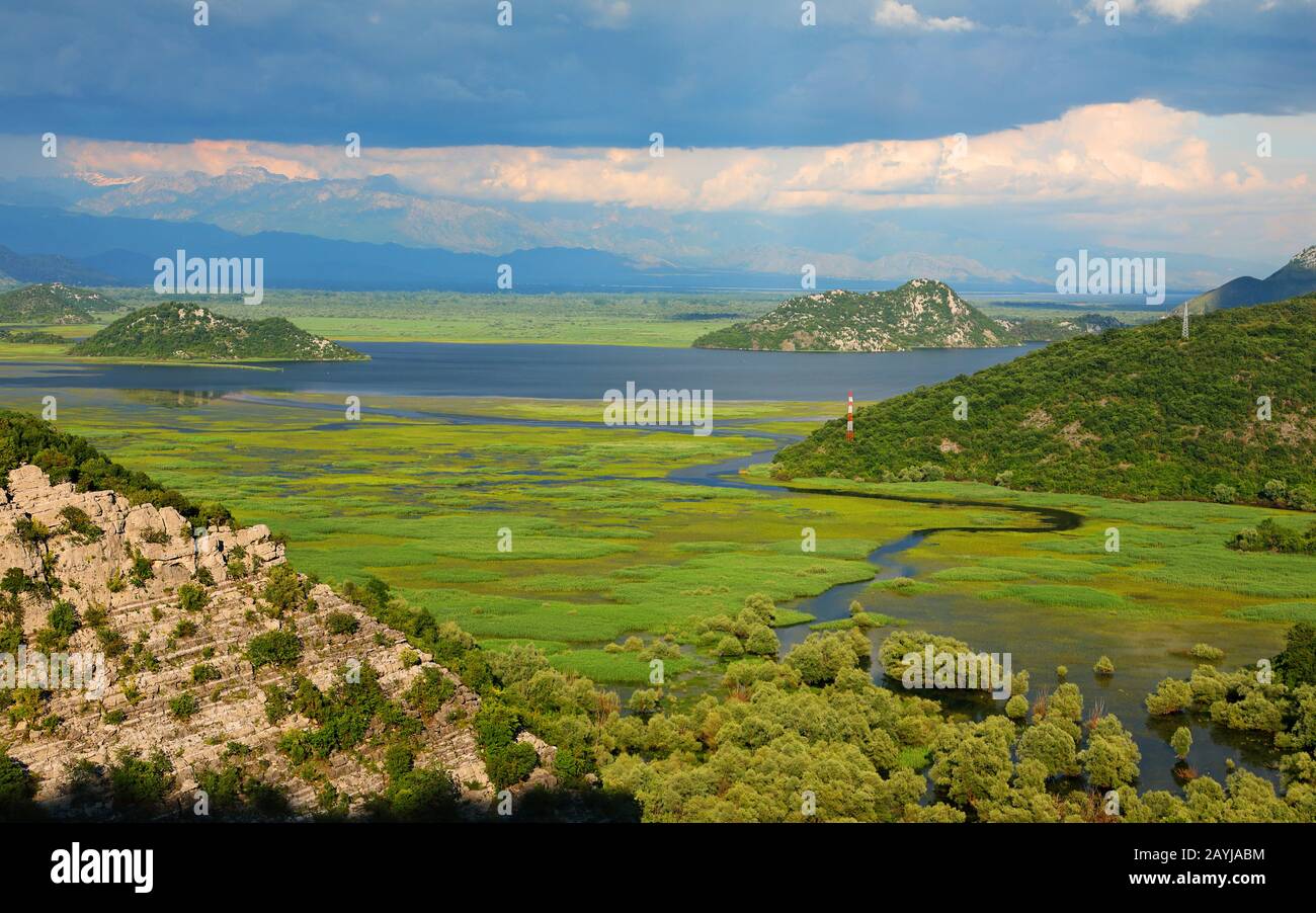 Lago Skadar Vicino A Poseljani, Montenegro, Parco Nazionale Di Skadarsee Foto Stock