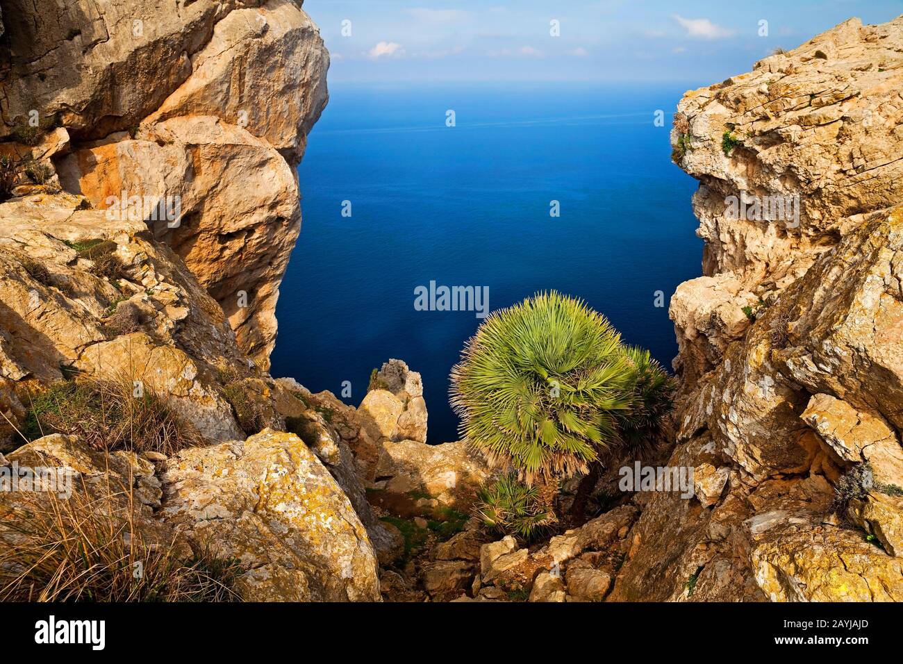 Peninsula Cap Formentor, Vista Da Mirador Es Colomer, Spagna, Isole Baleari, Maiorca Foto Stock