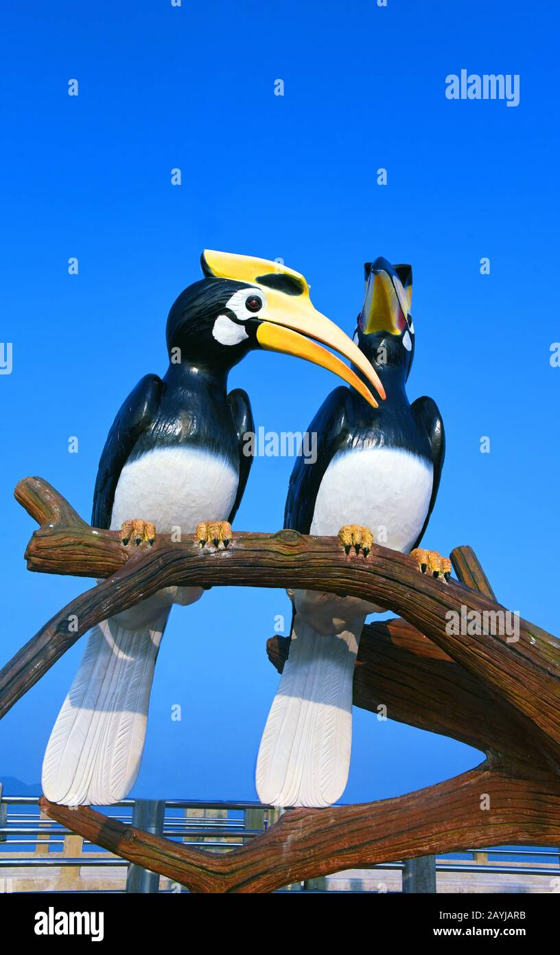 Indian pied hornbill (Anthracoceros malabaricus), sculture sul porto, Thailandia, Kho Yoa noi Foto Stock