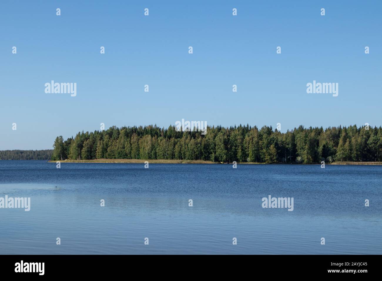 Blu acqua cielo chiaro giornata di sole sul lago finlandese onde d'acqua chiudere. Bellezza dello skyline della natura e della foresta con acqua dai colori profondi. Foto dalla barca Foto Stock