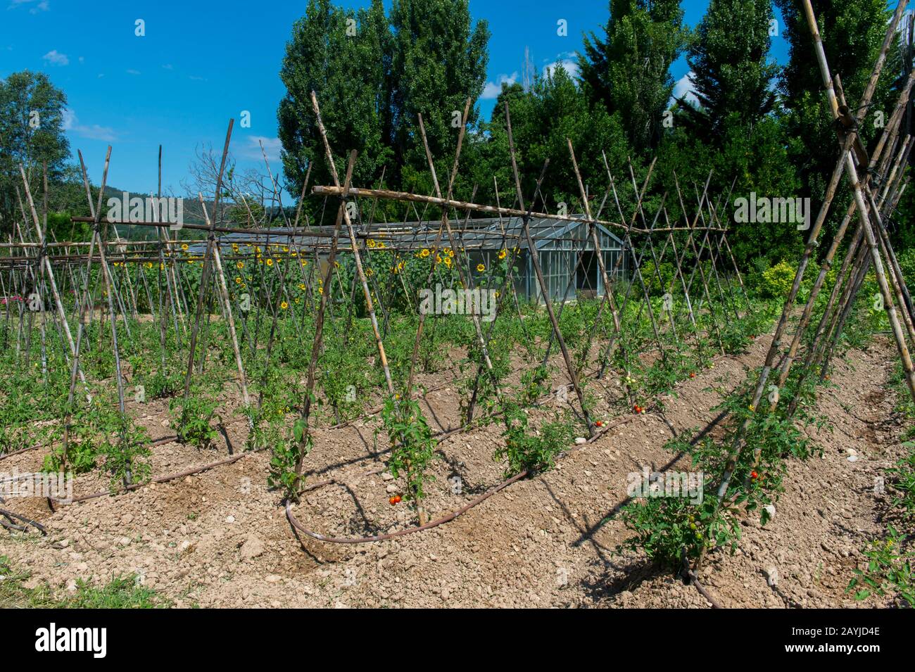 L'orto di la Bastide de Moustiers, una casa convertita in hotel, a Moustiers-Sainte-Marie, un borgo medievale nelle Alpi dell'alta Provenc Foto Stock
