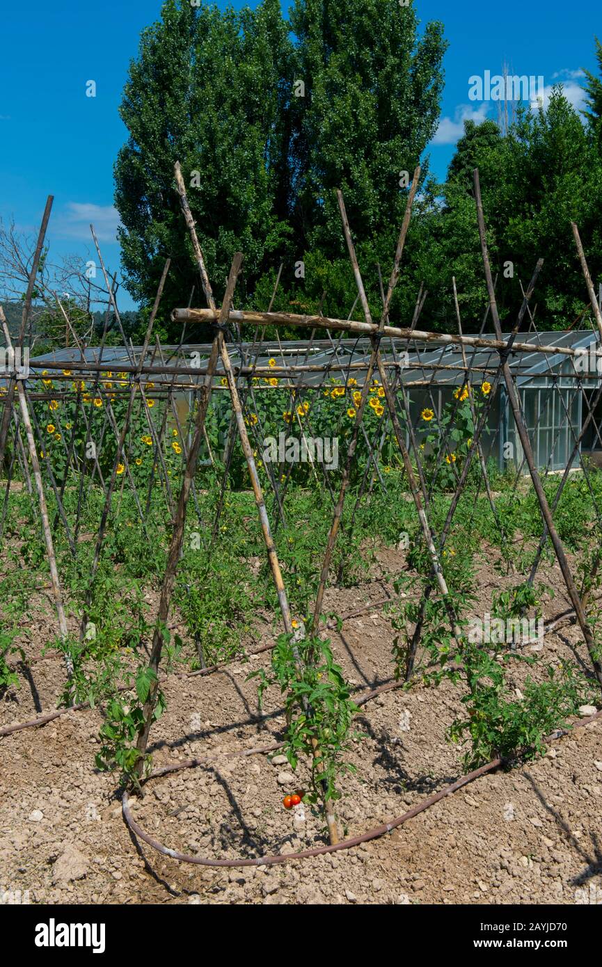 L'orto di la Bastide de Moustiers, una casa convertita in hotel, a Moustiers-Sainte-Marie, un borgo medievale nelle Alpi dell'alta Provenc Foto Stock