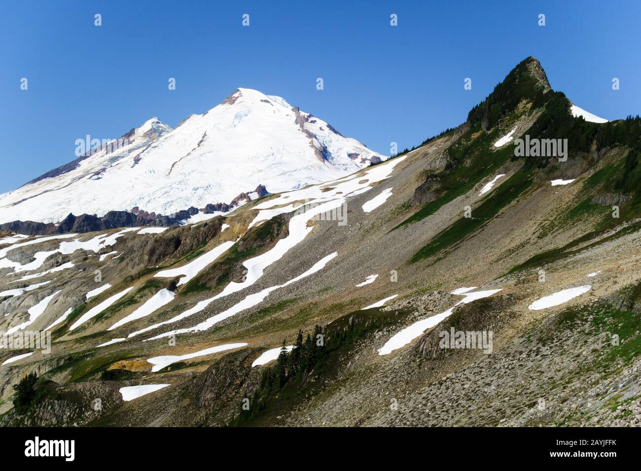 Ammira il monte Baker dal sentiero del monte Parmigan Ridge, il monte Baker-Snoqualmie National Forest, Washington, Stati Uniti Foto Stock