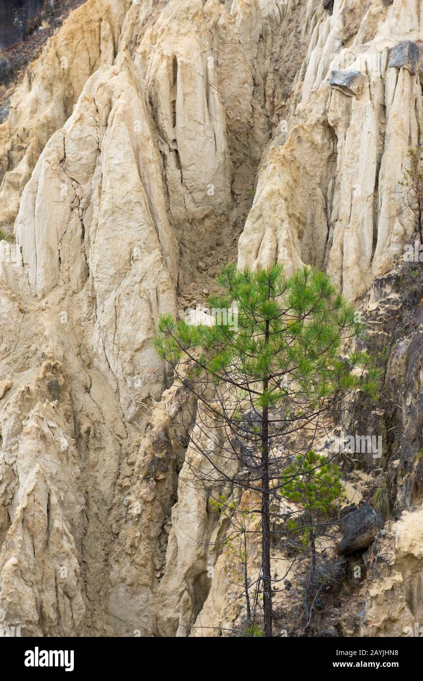 Erosione collinare causata dal crollo di una vecchia miniera d'oro nelle colline vicino al villaggio Mixtec di San Juan Contreras vicino Oaxaca, Messico. Foto Stock
