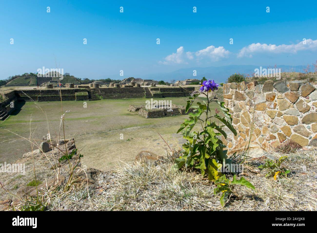 Il patio affondata, profondo tre metri, o patio Hundido, con un grande altare al centro sulla piattaforma Nord di Monte Alban (Patrimonio Mondiale dell'UNESCO Foto Stock