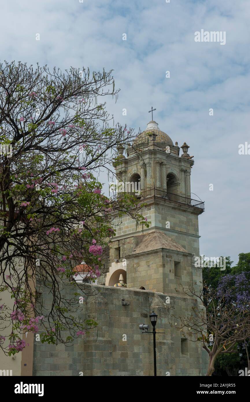 La Cattedrale Di Nostra Signora dell'Assunzione, nella città di Oaxaca de Juarez, Oaxaca, Messico. Foto Stock