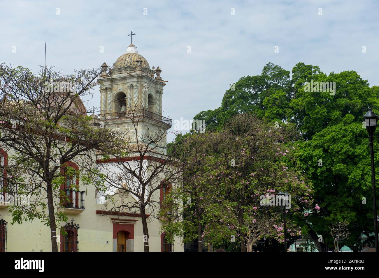 La Cattedrale Di Nostra Signora dell'Assunzione, nella città di Oaxaca de Juarez, Oaxaca, Messico. Foto Stock