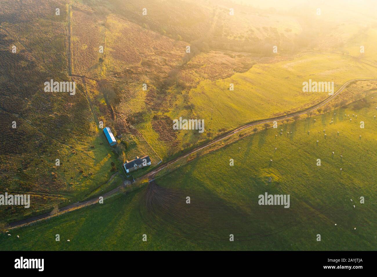 Campi agricoli sulle pendici del Mynd Long in Shropshire al tramonto nel Regno Unito Foto Stock