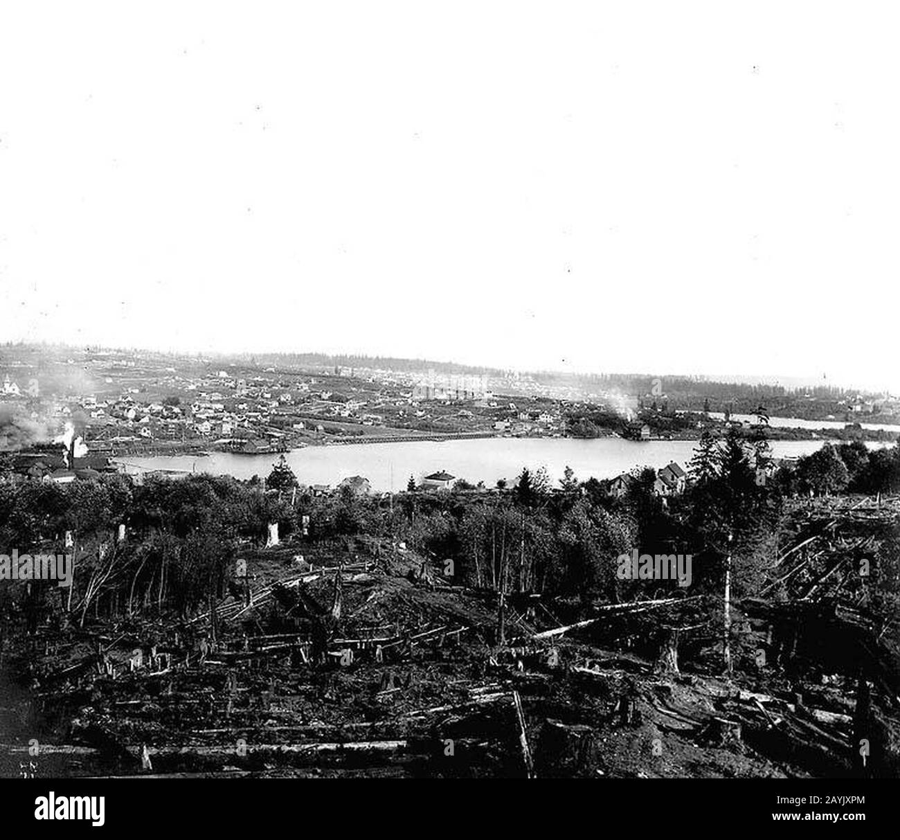 Fremont distretto e estremità nord del lago Union da Queen Anne Hill, Seattle (CURTIS 1401). Foto Stock