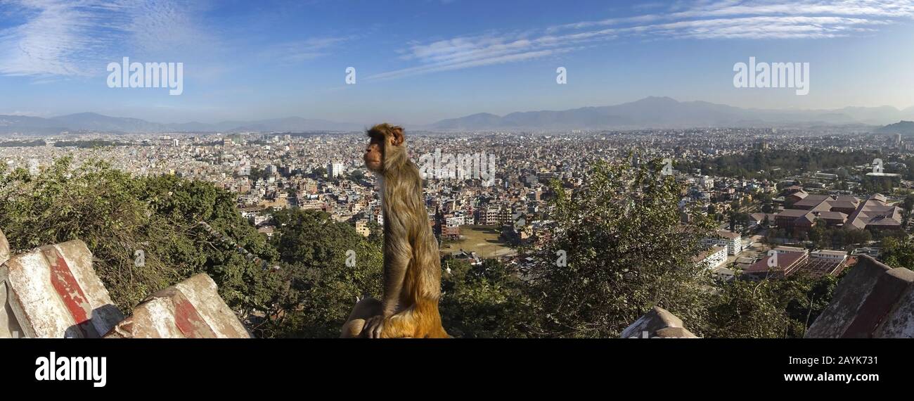 Ampio paesaggio panoramico della città di Kathmandu, Nepal dalla cima di Swayambhunath o Swayambhu Tempio buddista chiamato anche "Tempio delle scimmie" Foto Stock