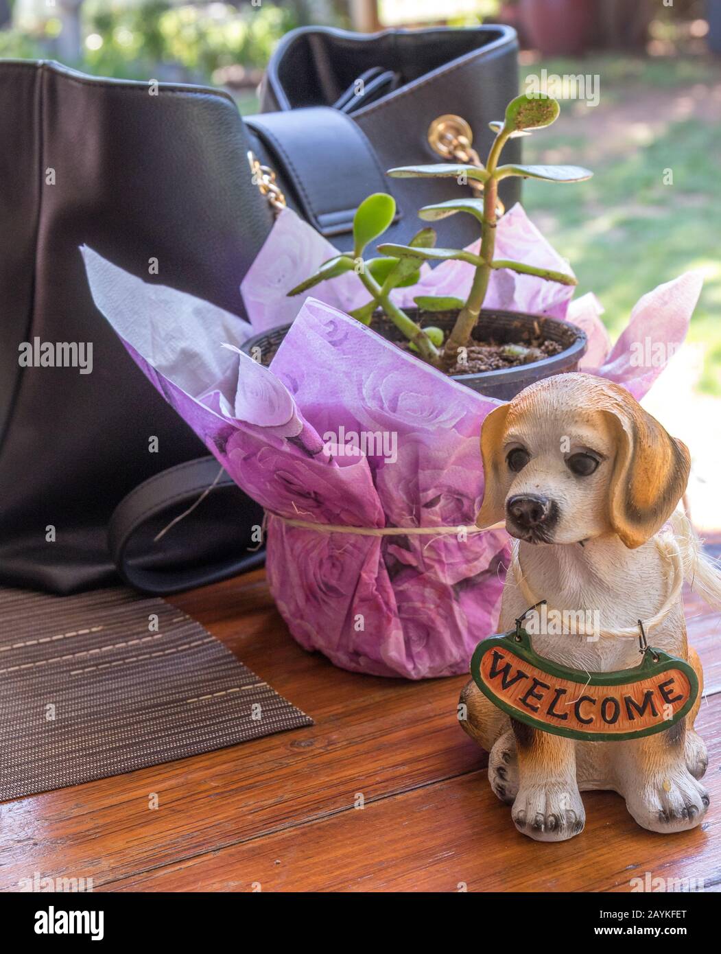 Cane ornamentale, una pianta in vaso e una borsa in pelle nera su un'immagine da tavolo all'aperto in formato verticale Foto Stock