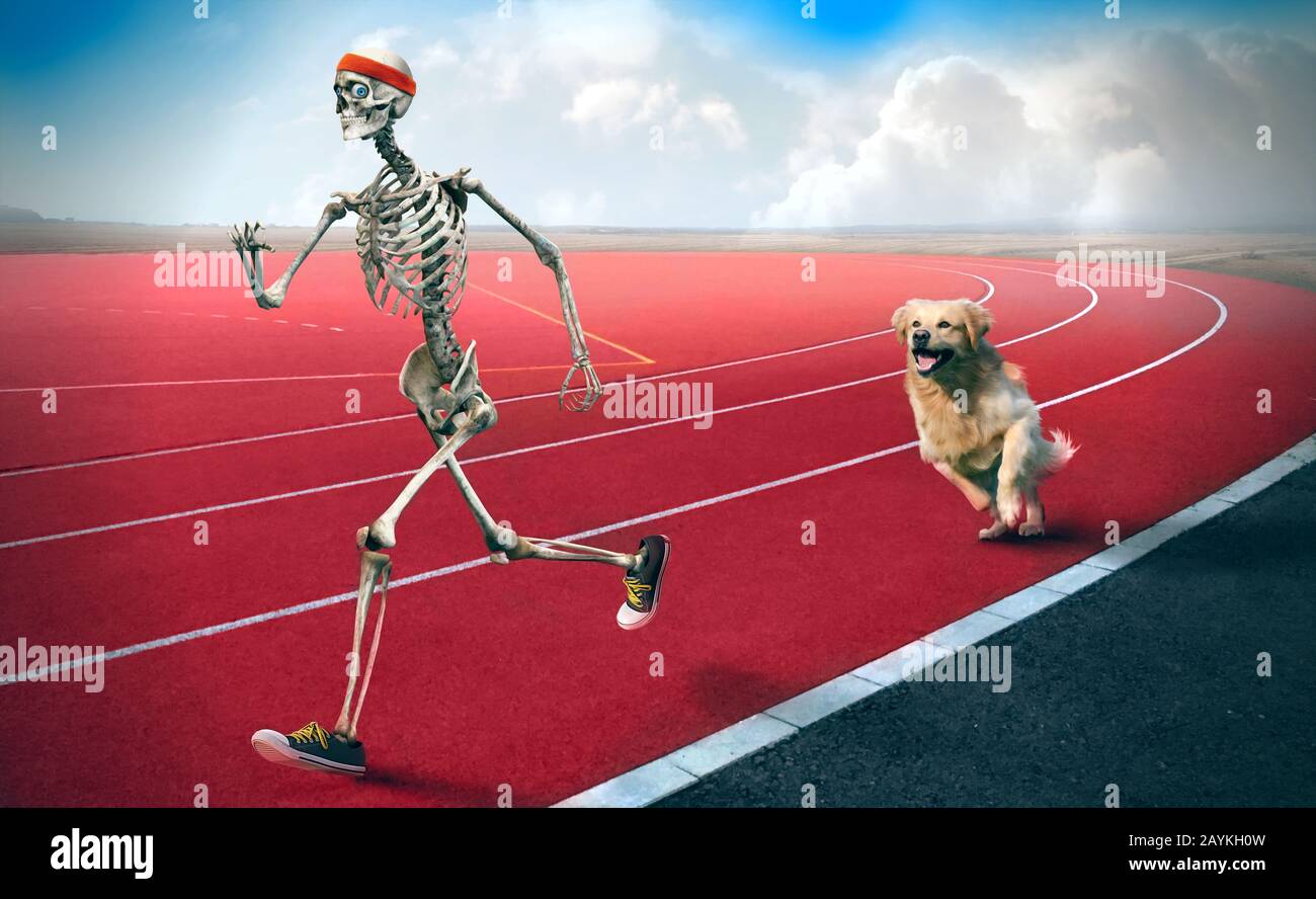 Un'arte divertente di uno scheletro sportivo che corre in una pista da corsa mentre un cane dietro lo sta inseguendo. Foto Stock
