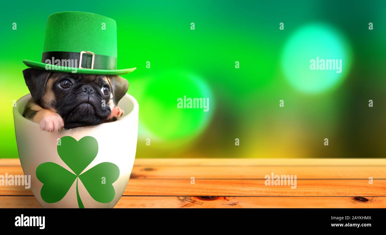 Cucciolo di pug carino all'interno di una tazza che indossa un cappello leprechaun. Concetto di tema del giorno di San Patrizio. Foto Stock