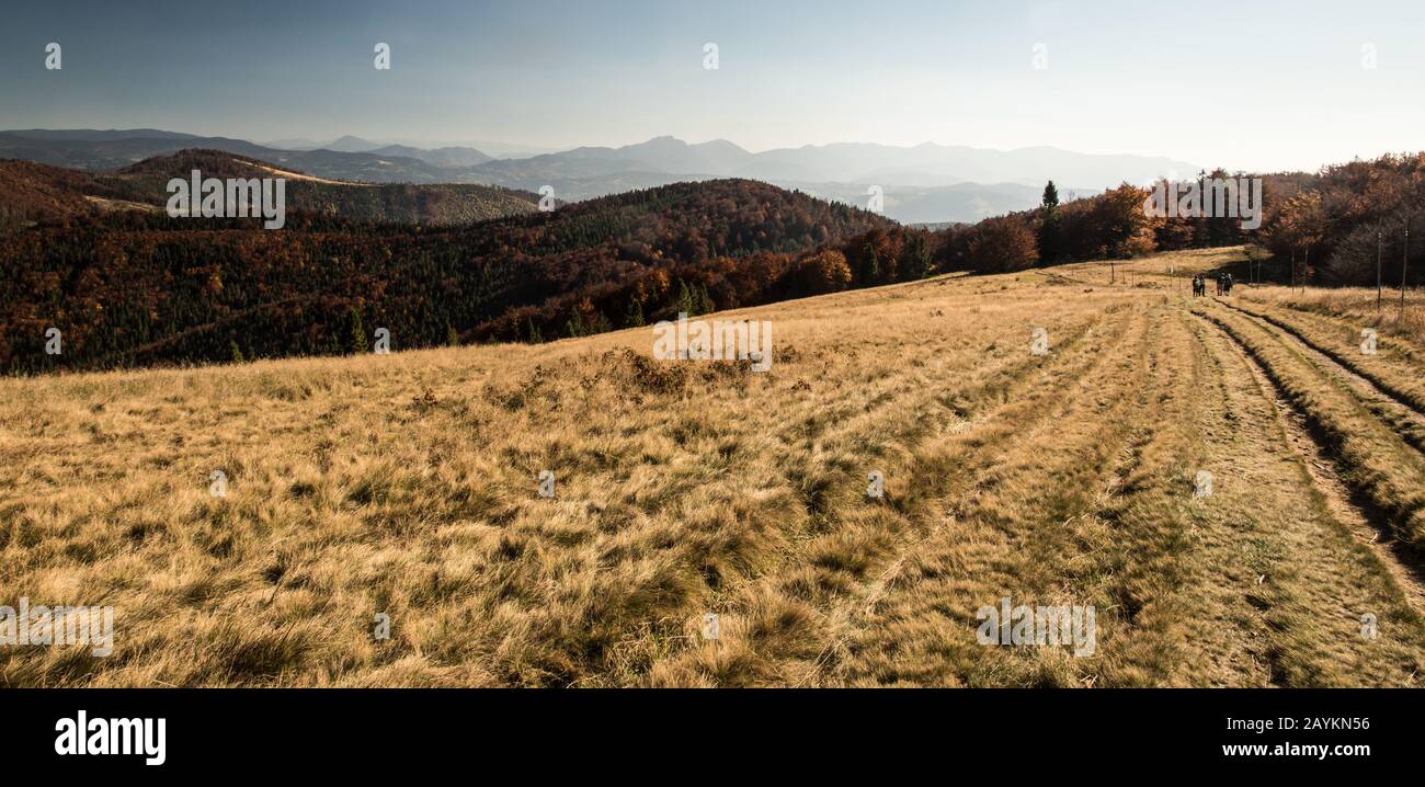 Hala na Malej Raczy prato di montagna con colline sullo sfondo e foresta colorata in autunno Beskid Zywiecki montagne sul polacco - confine slovacco Foto Stock