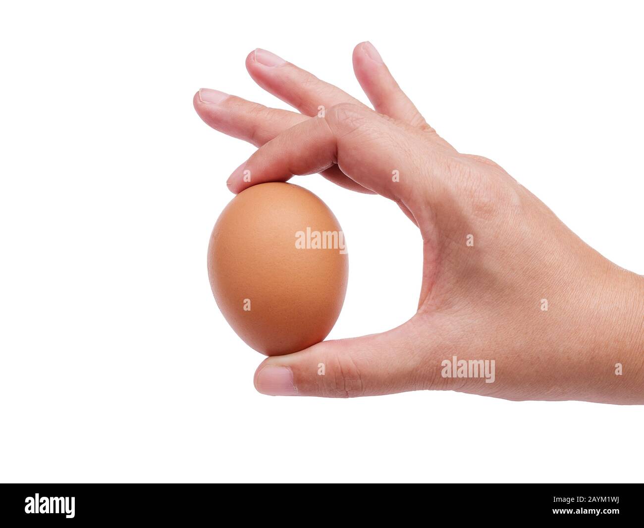 donna mano che tiene singolo uovo di pollo marrone isolato su sfondo bianco con sentiero di ritaglio Foto Stock