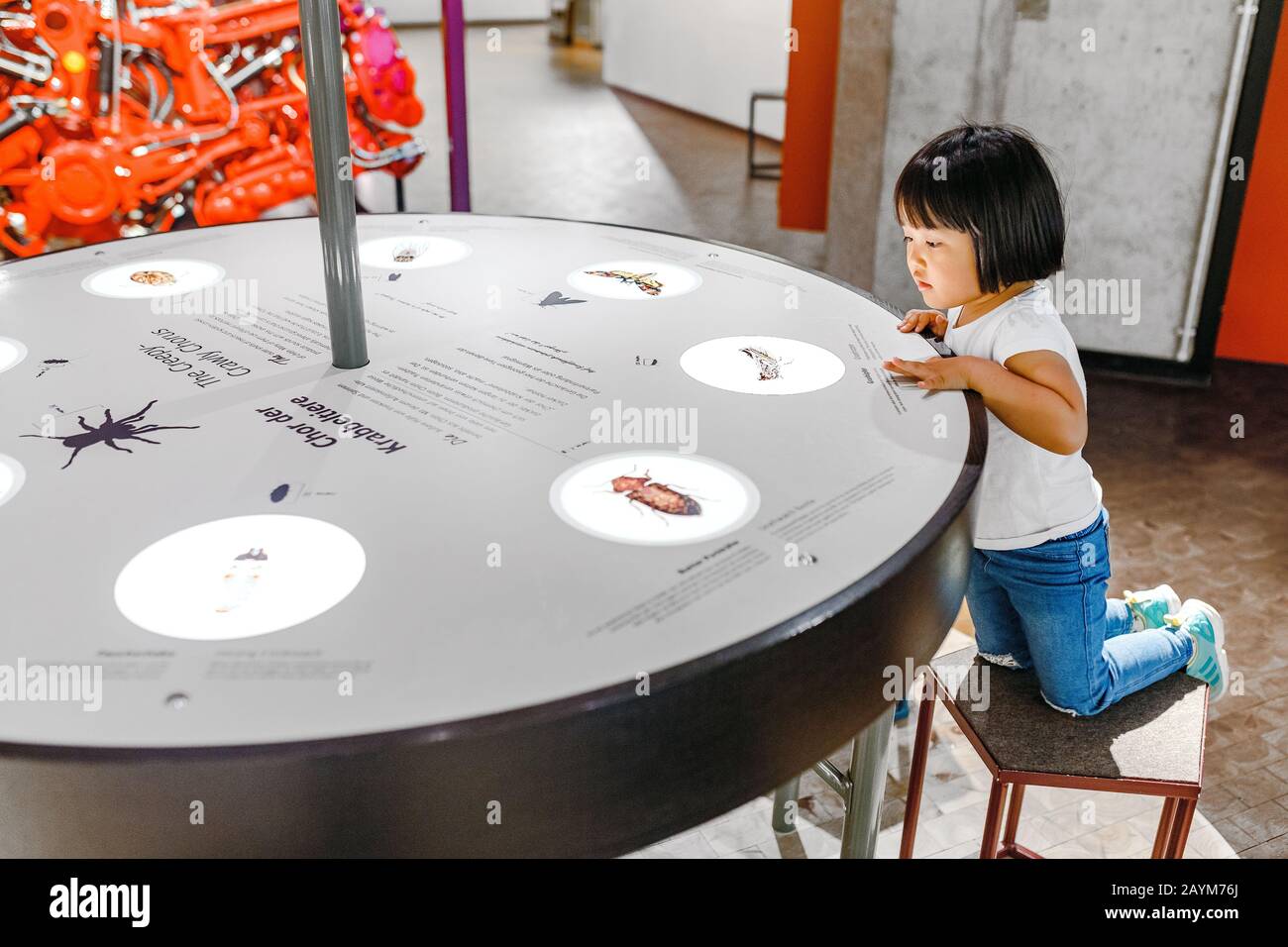 Berlino, GERMANIA - 19 MAGGIO 2018: Bambina asiatica che usa il touch screen interattivo per conoscere le voci degli insetti in un museo Foto Stock