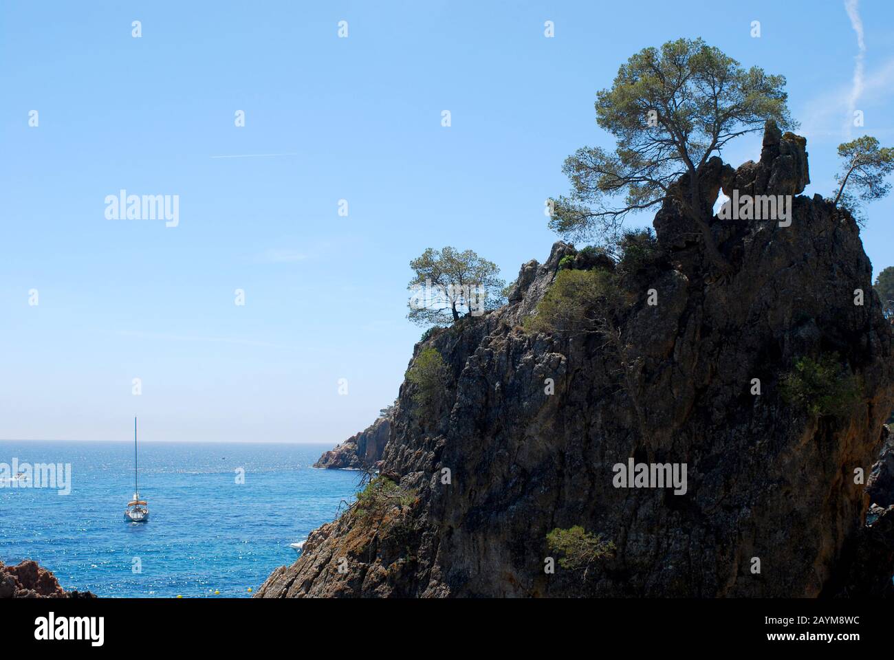 Paesaggio costiero della Costa Brava a Girona. Roccia con alberi isolati nel cielo blu Foto Stock
