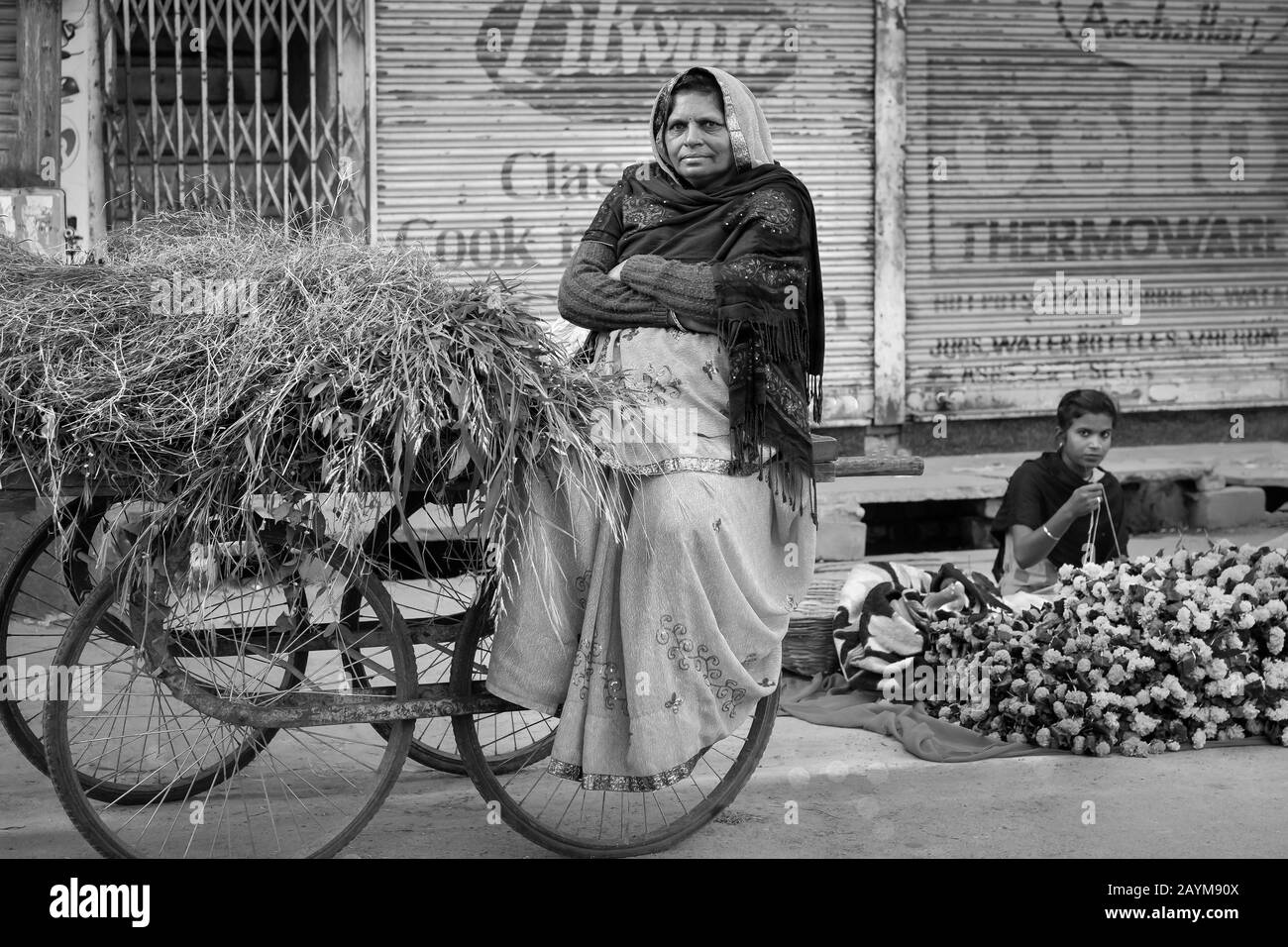 Donna in abiti tradizionali seduto su un carrello su ruote vende foraggio animale in tranquilla strada scena a Udaipur, Rajasthan, India. Foto Stock