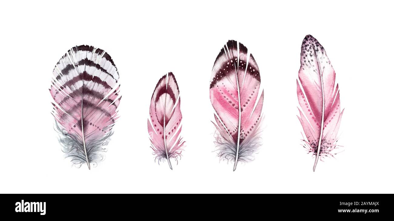Set piume acquerello. Dipinto a mano quattro ali vibranti. Illustrazione in stile boho isolata su bianco. Piume di uccelli selvatici per invito al matrimonio Foto Stock
