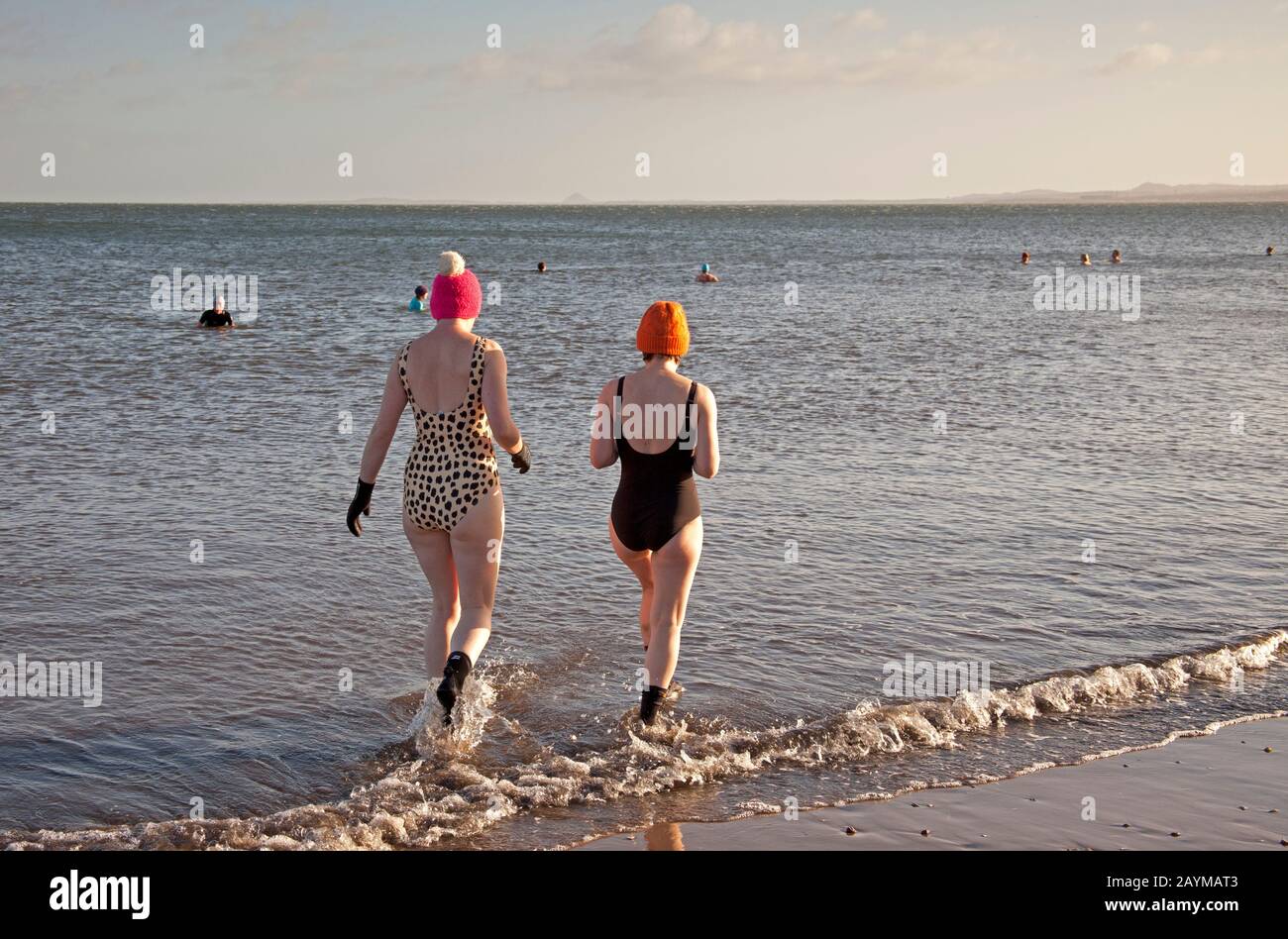 Portobello Beach, Edimburgo, Scozia, Regno Unito. 16th feb.2020. Sole e temperatura di 4 gradi vento gusting a 65kph, ma più di 30 nuotatori selvaggi di tutte le età, forme e dimensioni con costumi o muta goduto il primo mattino bracing tuffo nel Firth of Forth. Foto Stock