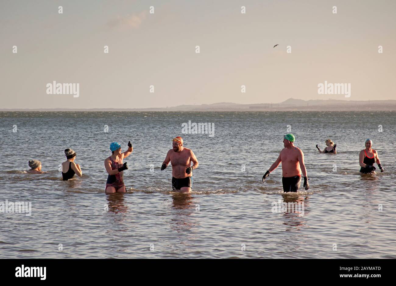 Portobello Beach, Edimburgo, Scozia, Regno Unito. 16th feb.2020. Sole e temperatura di 4 gradi vento gusting a 65kph, ma più di 30 nuotatori selvaggi di tutte le età, forme e dimensioni con costumi o muta goduto il primo mattino bracing tuffo nel Firth of Forth. Foto Stock