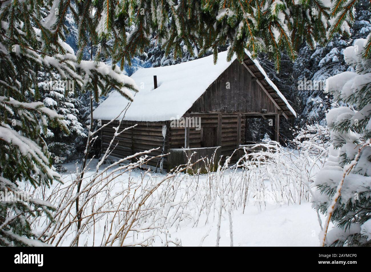 piccola casa in inverno montagne tra la foresta innevata Foto Stock